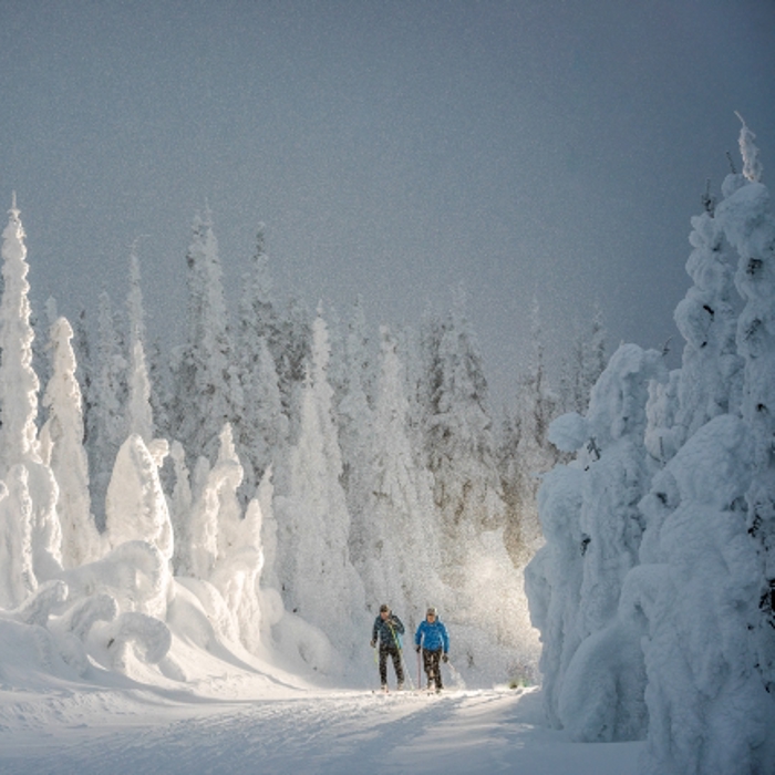 Complexe de montagne SilverStar