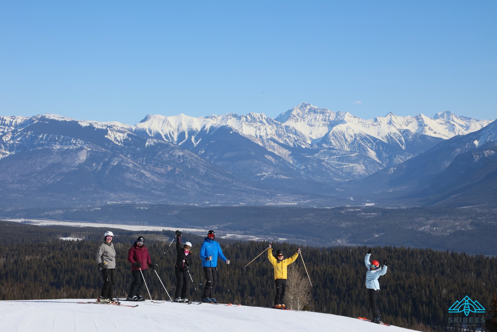 Groups_Ski Page d’accueil des Bees